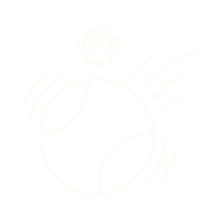 Avis Logo